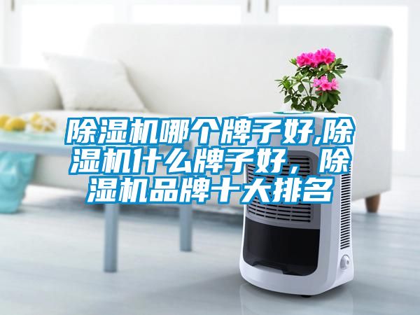 除濕機(jī)哪個牌子好,除濕機(jī)什么牌子好，除濕機(jī)品牌十大排名