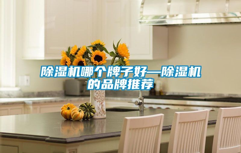 除濕機(jī)哪個牌子好—除濕機(jī)的品牌推薦