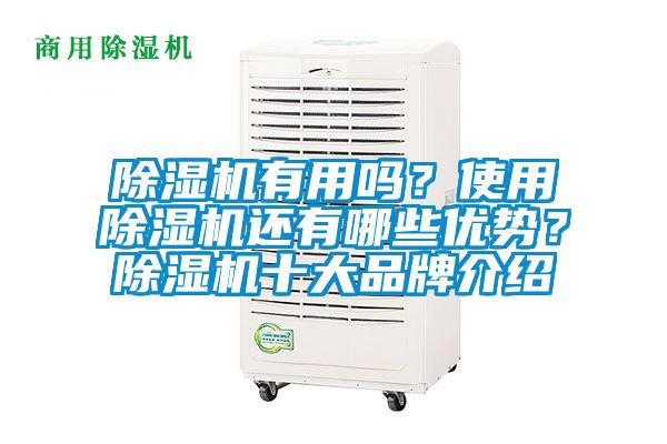 除濕機(jī)有用嗎？使用除濕機(jī)還有哪些優(yōu)勢(shì)？除濕機(jī)十大品牌介紹