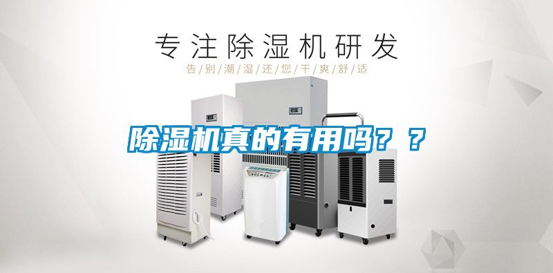 除濕機真的有用嗎？？