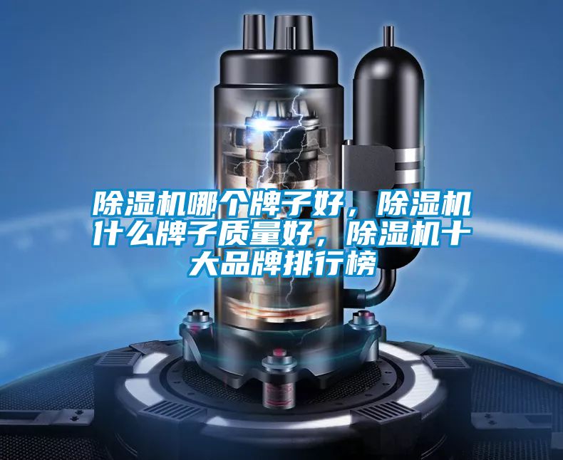 除濕機哪個牌子好，除濕機什么牌子質量好，除濕機十大品牌排行榜