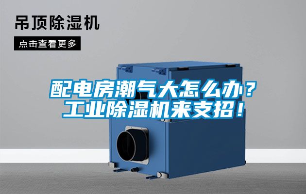 配電房潮氣大怎么辦？工業除濕機來支招！