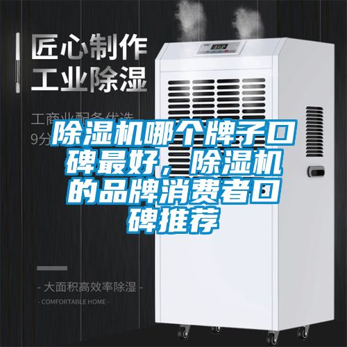 除濕機(jī)哪個(gè)牌子口碑最好，除濕機(jī)的品牌消費(fèi)者口碑推薦