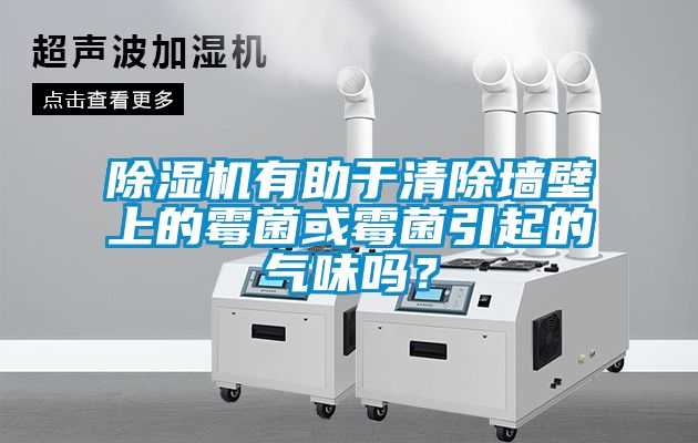 除濕機有助于清除墻壁上的霉菌或霉菌引起的氣味嗎？