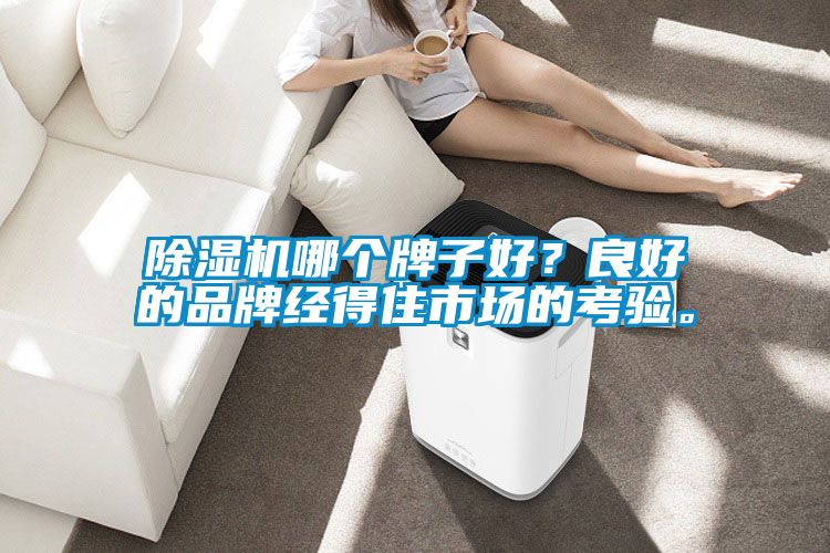 除濕機哪個牌子好？良好的品牌經得住市場的考驗。