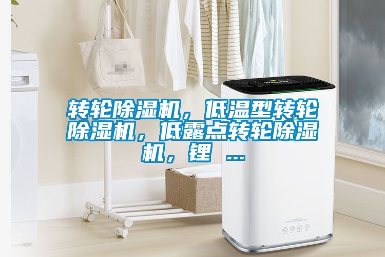 轉輪除濕機，低溫型轉輪除濕機，低露點轉輪除濕機，鋰 ...