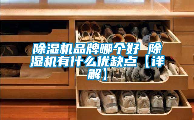 除濕機品牌哪個好 除濕機有什么優缺點【詳解】