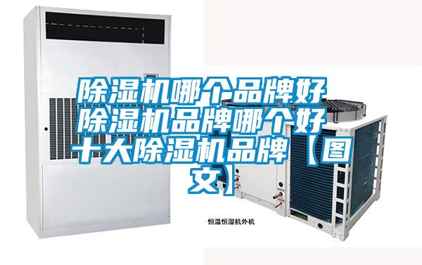 除濕機(jī)哪個品牌好 除濕機(jī)品牌哪個好 十大除濕機(jī)品牌【圖文】
