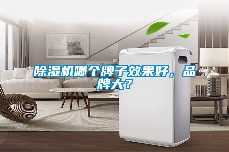 除濕機哪個牌子效果好，品牌大？