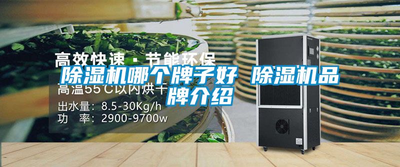 除濕機(jī)哪個牌子好 除濕機(jī)品牌介紹