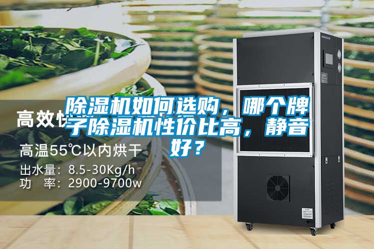 除濕機如何選購，哪個牌子除濕機性價比高，靜音好？