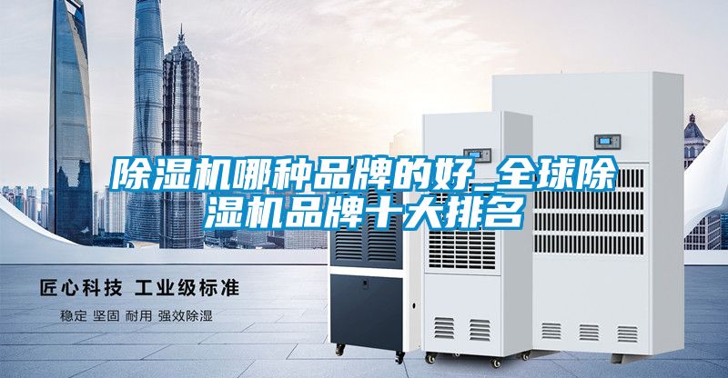除濕機(jī)哪種品牌的好_全球除濕機(jī)品牌十大排名