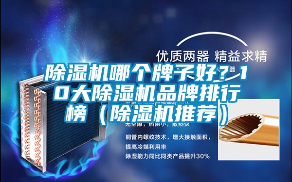 除濕機(jī)哪個牌子好？10大除濕機(jī)品牌排行榜（除濕機(jī)推薦）