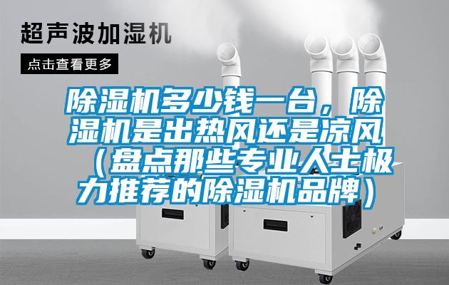 除濕機多少錢一臺，除濕機是出熱風還是涼風（盤點那些專業人士極力推薦的除濕機品牌）