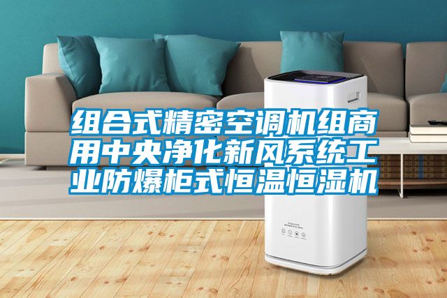 組合式精密空調(diào)機組商用中央凈化新風系統(tǒng)工業(yè)防爆柜式恒溫恒濕機