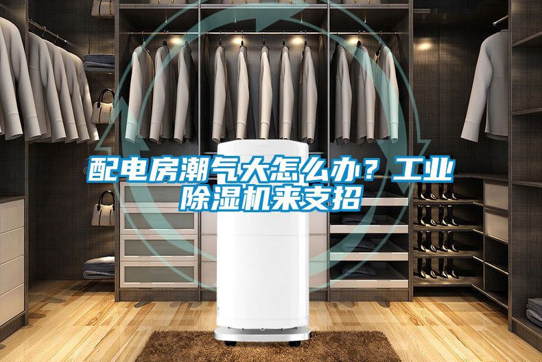 配電房潮氣大怎么辦？工業除濕機來支招