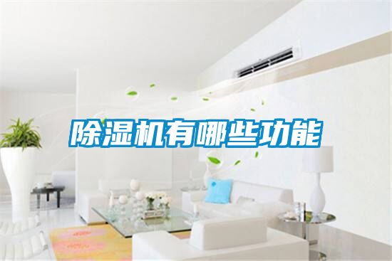 除濕機有哪些功能