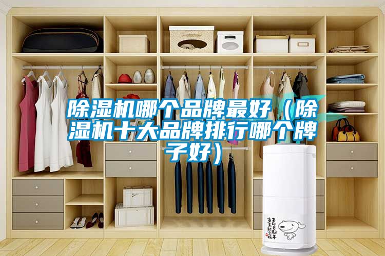 除濕機(jī)哪個品牌最好（除濕機(jī)十大品牌排行哪個牌子好）