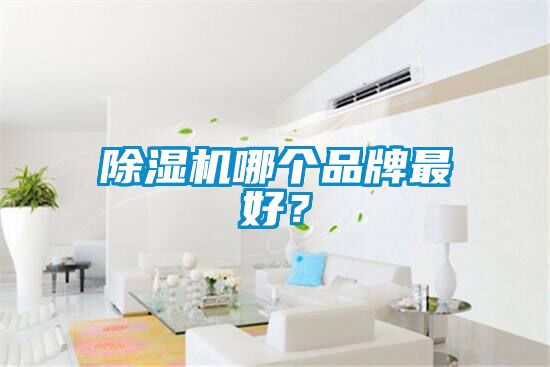 除濕機哪個品牌最好？