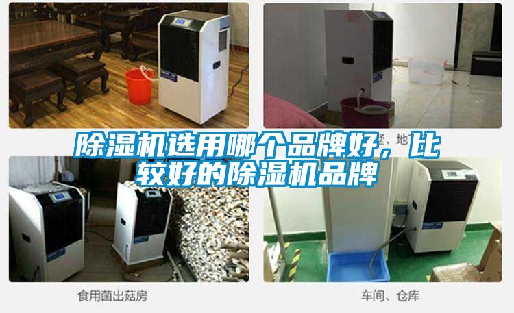 除濕機選用哪個品牌好，比較好的除濕機品牌