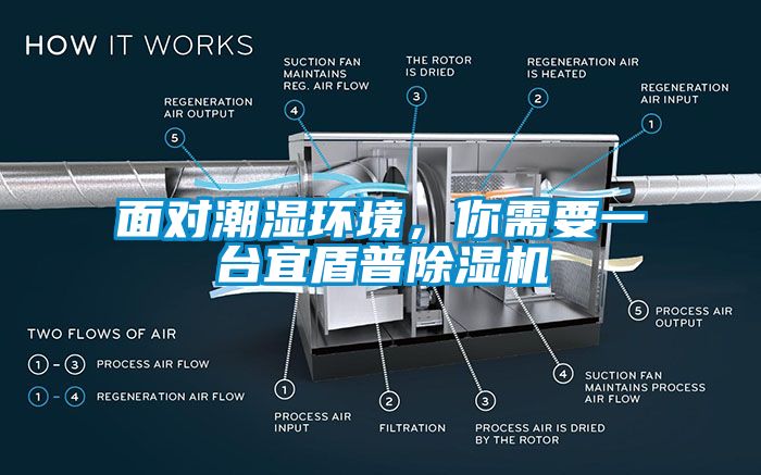 面對(duì)潮濕環(huán)境，你需要一臺(tái)宜盾普除濕機(jī)