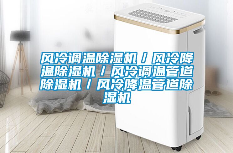 風冷調溫除濕機／風冷降溫除濕機／風冷調溫管道除濕機／風冷降溫管道除濕機