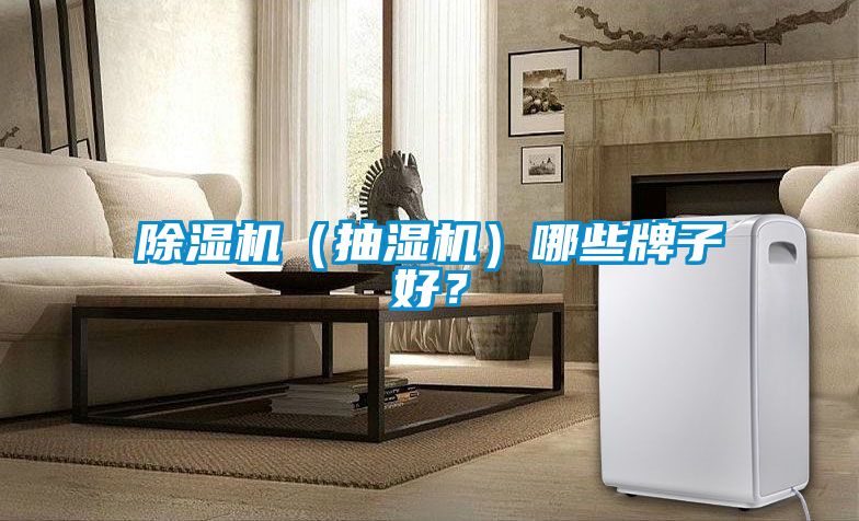 除濕機(jī)（抽濕機(jī)）哪些牌子好？