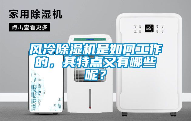 風冷除濕機是如何工作的，其特點又有哪些呢？