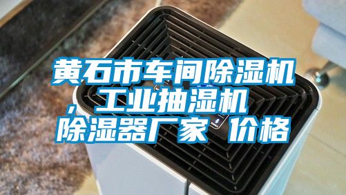 黃石市車間除濕機，工業抽濕機  除濕器廠家 價格