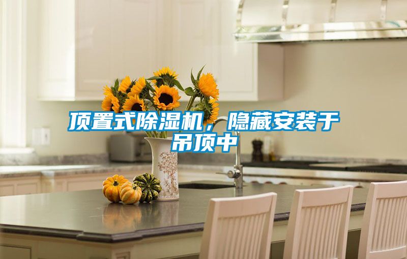 頂置式除濕機，隱藏安裝于吊頂中
