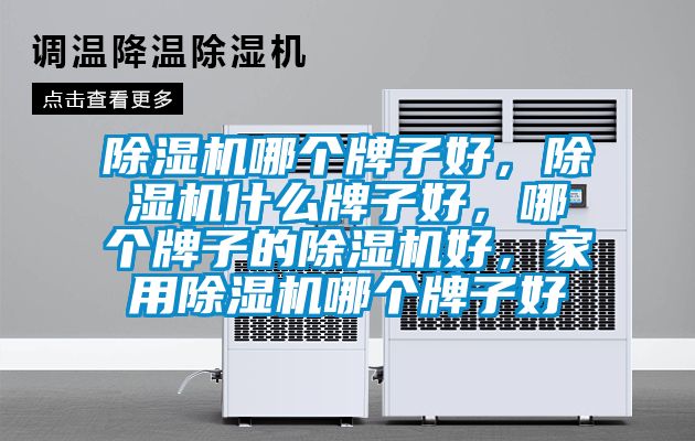 除濕機哪個牌子好，除濕機什么牌子好，哪個牌子的除濕機好，家用除濕機哪個牌子好