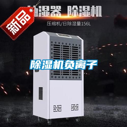 除濕機負離子