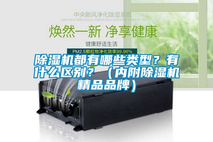 除濕機都有哪些類型？有什么區別？（內附除濕機精品品牌）
