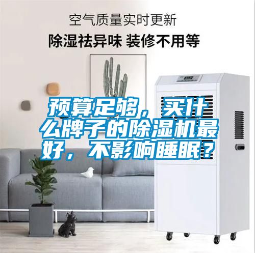 預算足夠，買什么牌子的除濕機最好，不影響睡眠？