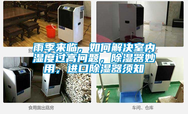 雨季來臨，如何解決室內濕度過高問題，除濕器妙用，進口除濕器須知