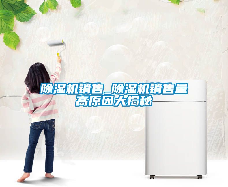 除濕機銷售_除濕機銷售量高原因大揭秘