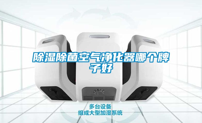 除濕除菌空氣凈化器哪個(gè)牌子好