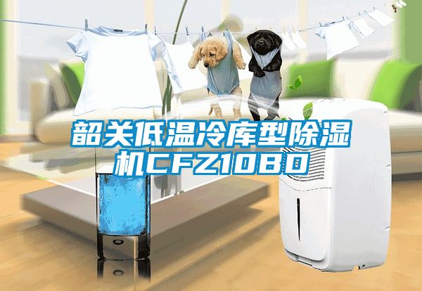 韶關(guān)低溫冷庫(kù)型除濕機(jī)CFZ10BD