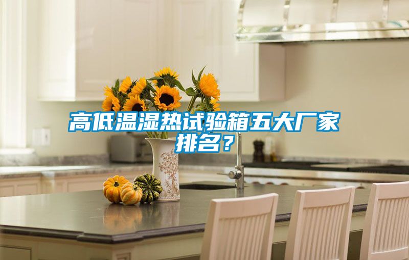 高低溫濕熱試驗箱五大廠家排名？