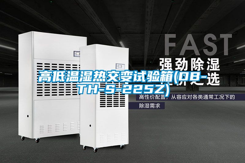 高低溫濕熱交變?cè)囼?yàn)箱(DB-TH-S-225Z)